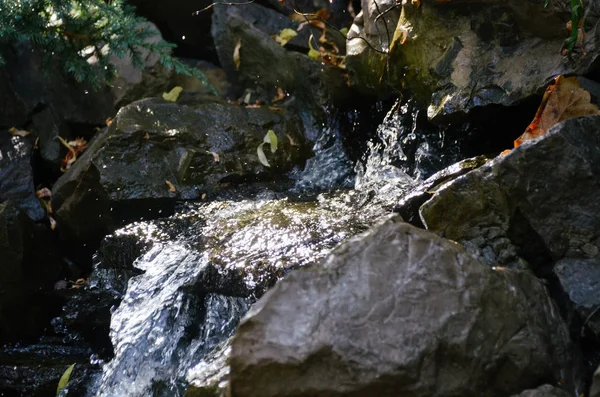 Sonbahar orman içinde taşlar arasında parlak şelale