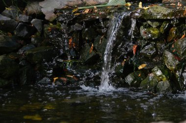 Temiz su ve sonbaharda kırmızı sonbahar yaprakları ile parlak basamaklı şelale 