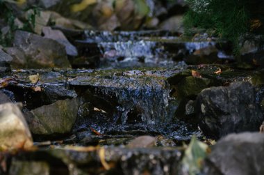 Art arda sıralı şelale sonbahar ormandaki siyah kayalar arasında