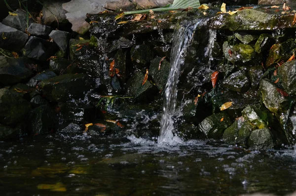 Temiz su ve sonbaharda kırmızı sonbahar yaprakları ile parlak basamaklı şelale 