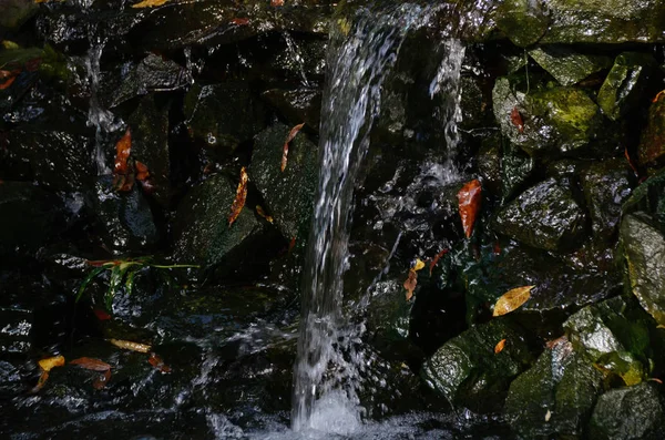 Bella cascata tra rocce nere nella foresta autunnale — Foto Stock