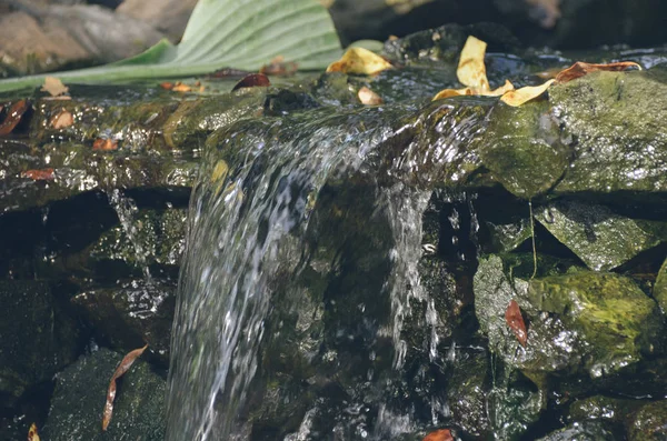 Cascata con acqua cristallina nella foresta autunnale — Foto Stock