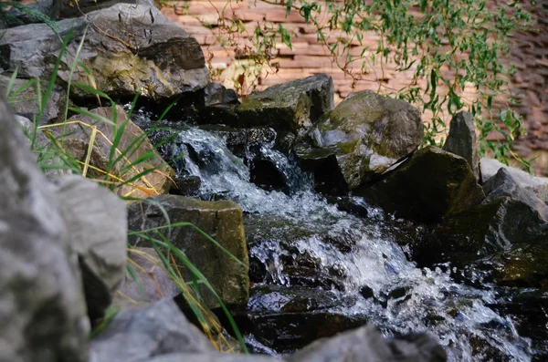 Sonbahar ormandaki sıçramasına şelale
