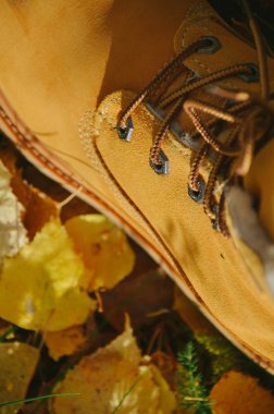 Moda hipster Ayakkabı sonbahar sarı yapraklar arka plan üzerinde