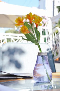 Yaz kafenin dekoru. Cam vazo parlak turuncu Alstroemeria çiçekler