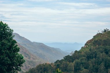 Resimli dağ manzarası. Yüksek dağdaki renkli ağaçlar ve orman Ella, Sri Lanka 'da bulutlu bir arka plan.