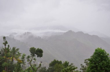 Ella, Sri Lanka 'da yüksek tropikal dağlarda renkli orman manzarası. Seylan 'daki resimli dağ zirveleri