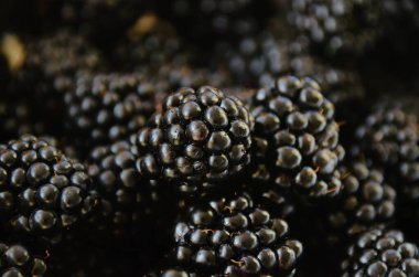 Büyük olgun böğürtlenlerden oluşan parlak bir makro. Bir sürü tatlı meyve kapanıyor.