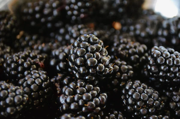 甘いブラックベリーを熟すと閉じます 大きな新鮮な黒果実のマクロは太陽の下で輝く — ストック写真