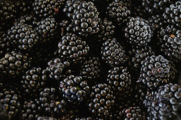 ブラックベリーの明るい背景テクスチャ 新鮮な熟した黒い果実が閉じます — ストック写真