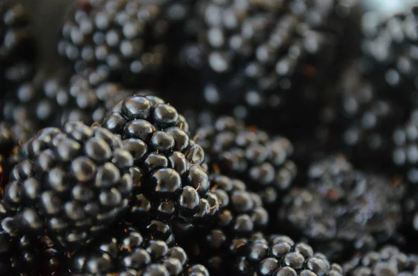 Grandes Moras Maduras Dulces Cierran Macro Bayas Negras Jugosas Brillantes —  Fotos de Stock