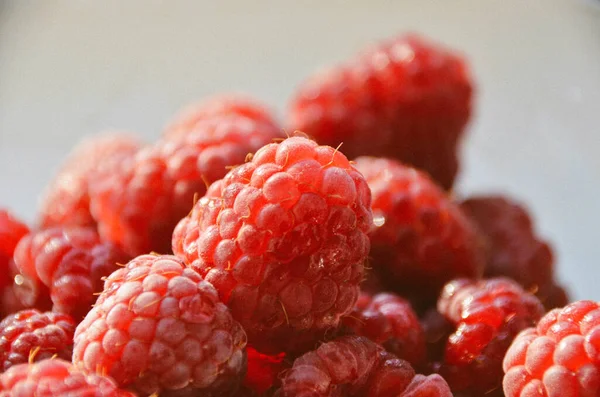 朝の太陽の下で新鮮な熟したラズベリーの果実の明るいマクロ 甘い赤い果実の公開写真 — ストック写真