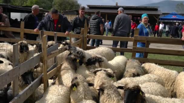 Menschen Auf Feier Viehmarkt Turbe Bosnien Und Herzegowina September 2019 — Stockvideo
