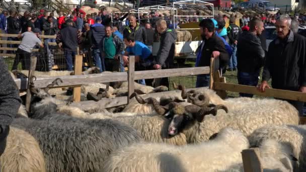 Menschen Auf Feier Viehmarkt Turbe Bosnien Und Herzegowina September 2019 — Stockvideo