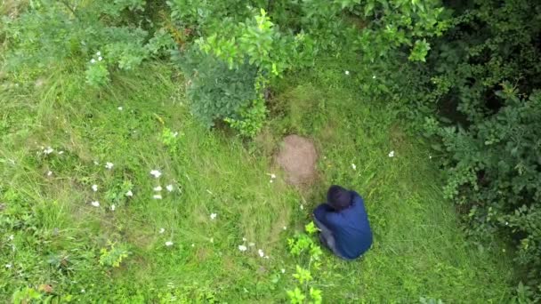 Man Crouching Anthill Goes Forest Shoot Drone — Stock Video