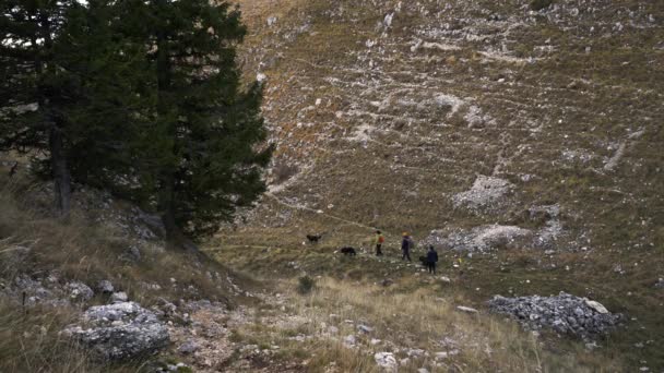 Wandelaars Met Honden Vlasic Berg Bosnië Herzegovina — Stockvideo