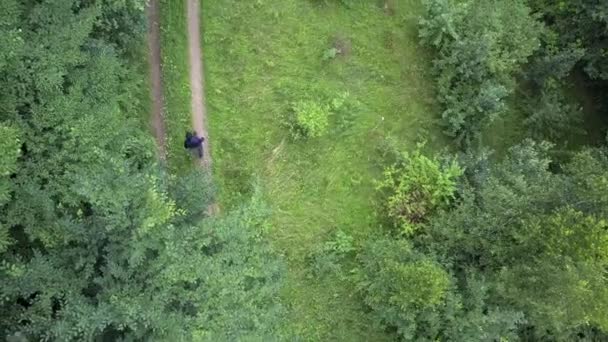 Homme Traverse Forêt Tire Depuis Drone — Video