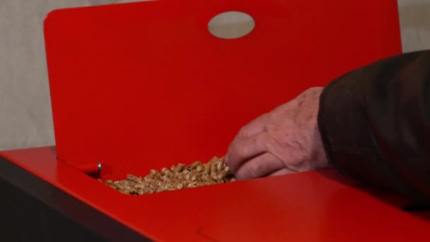 Mann Holt Handvoll Pellets Aus Silo Eines Heizkessels — Stockvideo