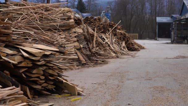 Matière Première Pour Production Granulés Bois Sciure Bois — Video