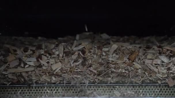 Industriproduktion Spånskivor Från Pellet Drying — Stockvideo