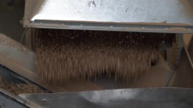 Endüstriyel Pellet Taşımacılık Üretimi avuç içi pelet taramasında