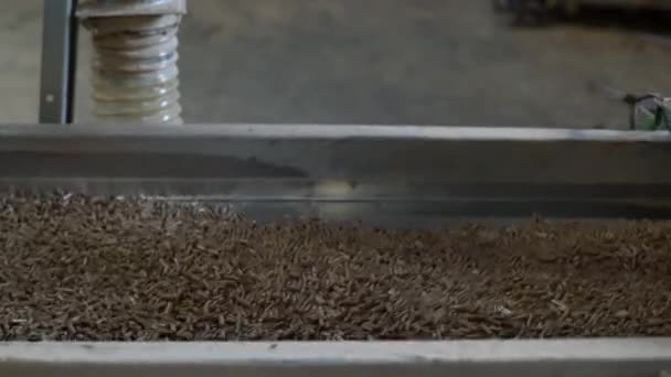 Punhado de pellet стоковые видео, футажи Скачать видео