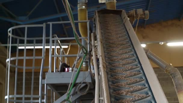 Industriële Productie Van Pellet Transport Pellet Naar Verpakking — Stockvideo