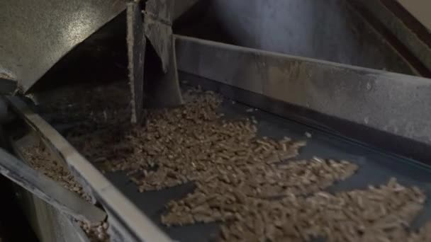 Producción Industrial Pellets Transporte Pellets Para Embalaje — Vídeo de stock