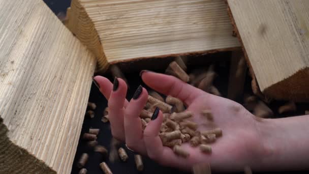 Pellet Vallen Hand Van Jong Meisje Buurt Van Stukken Hout — Stockvideo