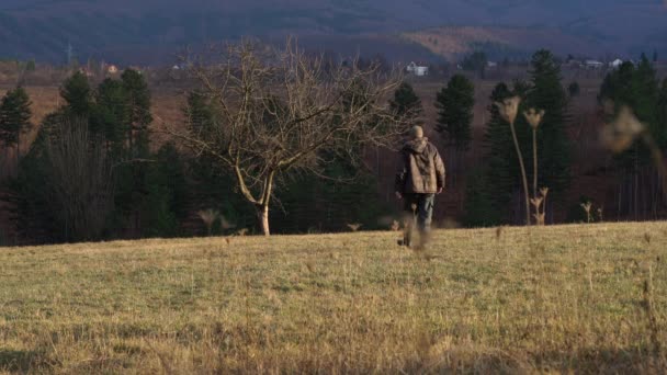 男人走到一棵孤零零的树上 — 图库视频影像