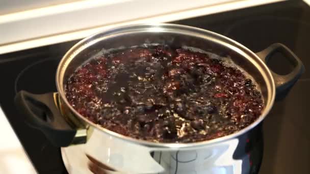 Cooking Fruit Compote Blackberry Aronia — Stock Video