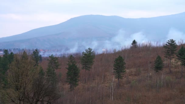 Pożar Wiejskim Krajobrazie Lesie — Wideo stockowe