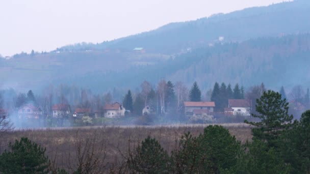 Požár Venkovské Krajině Lese — Stock video