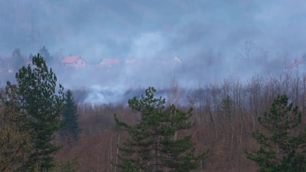 Feuer Ländlicher Landschaft Und Wald — Stockvideo