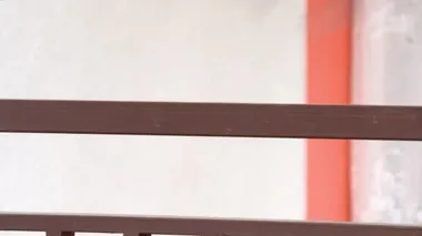 Yuvanın yakınındaki çitte Siyah Kızılay, erkek (Phoenicurus ochruros)