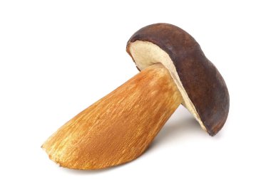 Yenilebilir mantar boletus badius birçok mantar yemeği hazırlamak için uygundur, kış için donma, kurutma ve turşu turşusu. İzole edilmiş