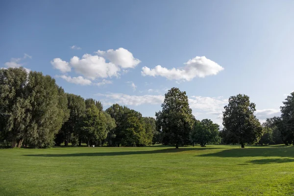 Green Lawn And Trees With Blue Sky At The Public Park