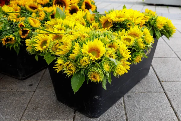 Decorative sunflowers in a black box. Selective focus. Image for advertising flower business. Selective focus