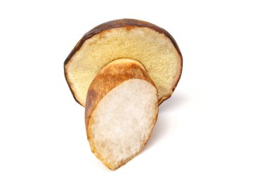 Yenilebilir mantar Boletus badius çeşitli mantar yemekleri hazırlamak için uygundur, kış için donma, kurutma ve turşu. Kapağın altı görülebilir. İzole edilmiş.