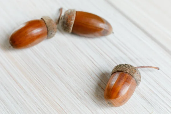 Three Brown Shiny Oak Acorns Fallen Plant Wooden Table Lit — Stock Photo, Image