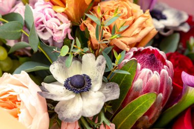 Parlak bir Protea buketi, güller, deniz şakayığı, okaliptüs. Kapat..