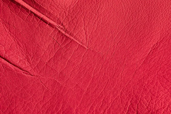 Texture Natural Pigskin Close Genuine Leather Painted Red Sewing Outerwear — Stock Photo, Image