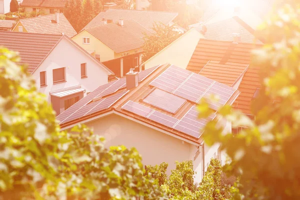 Solar Panels Tiled Roof Building Sun Top View Grape Leaves — Stock Photo, Image