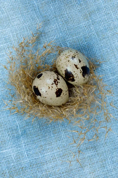 Перепелиные Яйца Гнезде Сухой Травы Дизайна Тему Пасхи — стоковое фото