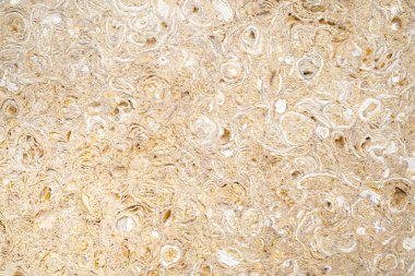 Sıkıştırılmış kabuktan yapılmış dekore edilmiş bir duvar. İnşaat, mimari ve tasarım temaları için arka plan. Mercan taşı gözenekli dokusu. Boşluğu kopyala.