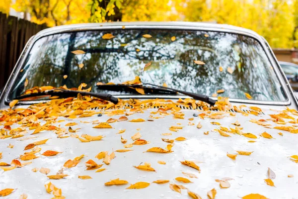 Ярко Жёлтые Листья Серебристом Мокром Капоте Машины Дождливая Погода Осенняя — стоковое фото