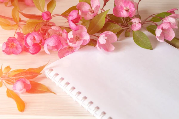 Empty Notebook Pink Apple Blossoms White Table Woman Working Desk — Stock Photo, Image