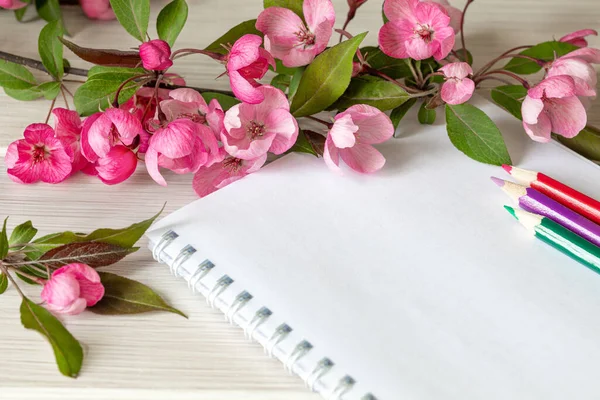 Empty notebook and pink apple blossoms on the white table. Woman working desk. Top view in flat lay style. — Stock Photo, Image