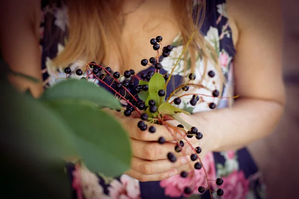 Les Mains Des Femmes Tiennent Des Cerises Vie Quotidienne Une — Photo