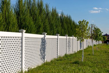 White vinyl fence in a cottage village. Tall Thuja bushes behind the fence. Fencing of private property. clipart